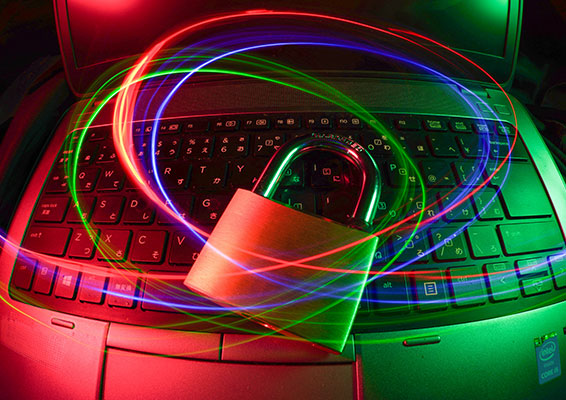 Hands-on online courses to boost professional knowledge and success